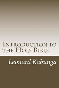 bokomslag Introduction to the Holy Bible
