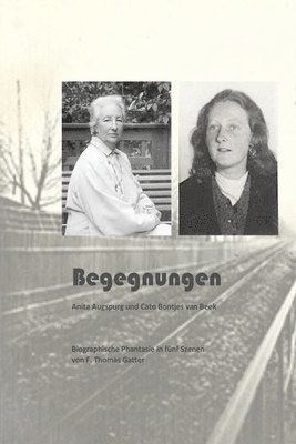 bokomslag Begegnungen: Biographische Phantasie in fünf Szenen