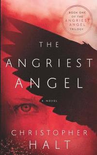 bokomslag The Angriest Angel