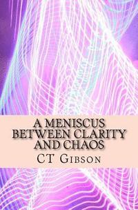 bokomslag A Meniscus Between Clarity and Chaos: The Teachings of Spirit and the Sun Magician