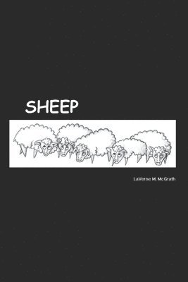 Sheep 1