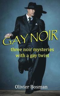 bokomslag Gay Noir