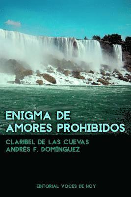 bokomslag Enigma de amores prohibidos