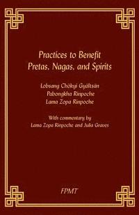 bokomslag Practices to Benefit Pretas, Nagas and Spirits
