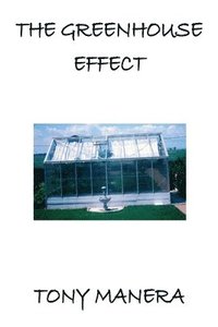 bokomslag The Greenhouse Effect
