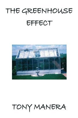 The Greenhouse Effect 1