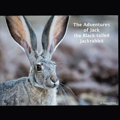 The Adventures of Jack the Black-tailed Jackrabbit 1