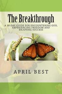 bokomslag The Breakthrough: A 30-Day Guide for Encountering God, Experiencing Freedom and Enjoying Success