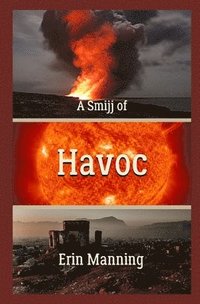 bokomslag A Smijj of Havoc