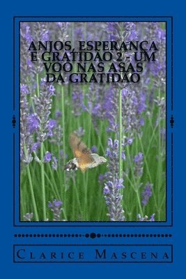 bokomslag Anjos, Esperança e Gratidão 2 - Um Voo nas Asas da Gratidão: Um Voo nas Asas da Gratidão