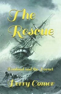 bokomslag The Rescue: Donland and the Hornet
