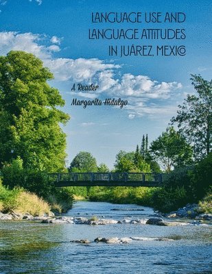 bokomslag Language Use and Language Attitudes in Jurez, Mexico