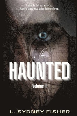 The Haunted: Possum Town: A Haunted History Series Book 3 1