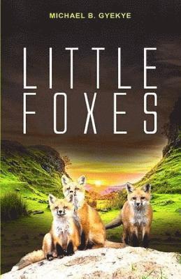 bokomslag Little Foxes