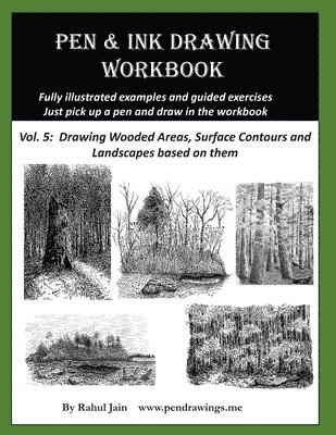 bokomslag Pen and Ink Drawing Workbook Vol 5: Learn to Draw Pleasing Pen & Ink Landscapes