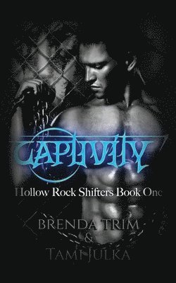Captivity: Hollow Rock Shifters Book 1 1