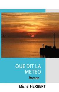 bokomslag Que dit la meteo ?: roman