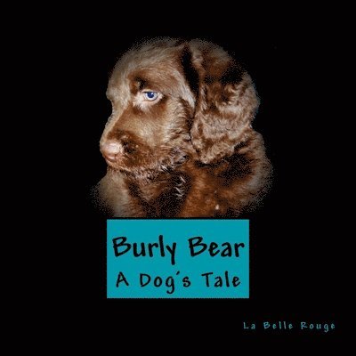 Burly Bear