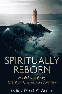 bokomslag Spiritually ReBorn