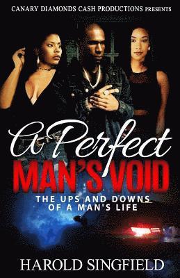 A Perfect Man's Void 1