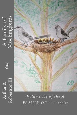 bokomslag A Family of Mockingbirds: Volume III of the A FAMILY OF------ series