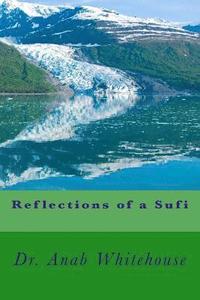bokomslag Reflections of a Sufi