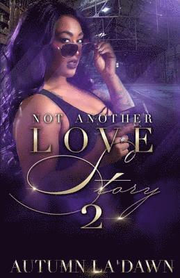 bokomslag Not Another Love Story 2