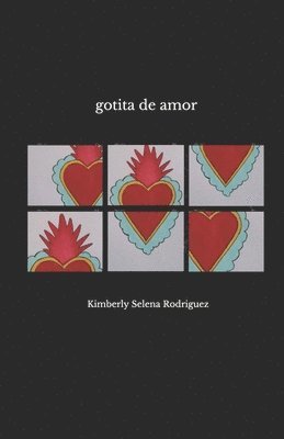 bokomslag gotita de amor