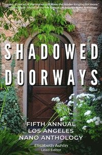 bokomslag Shadowed Doorways