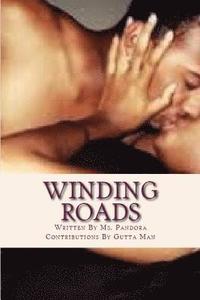 bokomslag Winding Roads