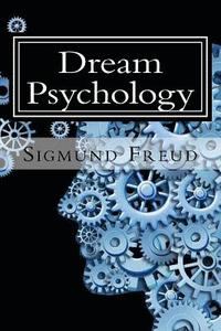 bokomslag Dream Psychology