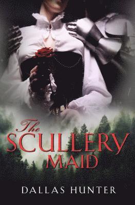 The Scullery Maid 1