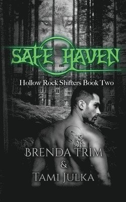 Safe Haven: Hollow Rock Shifters Book 2 1