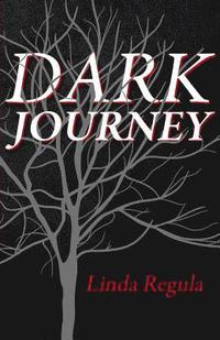 bokomslag Dark Journey