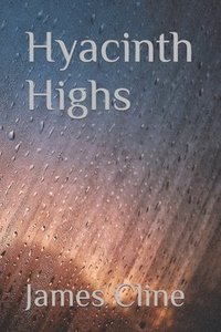 bokomslag Hyacinth Highs