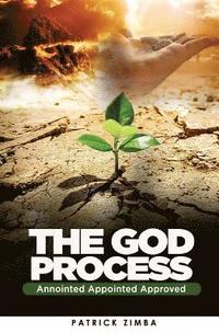 bokomslag The God Process: Annointed Appointed Approved
