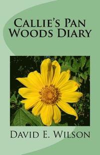 bokomslag Callie's Pan Woods Diary