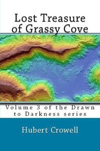 bokomslag Lost Treasure of Grassy Cove