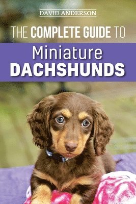 bokomslag The Complete Guide to Miniature Dachshunds