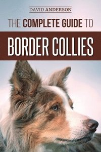 bokomslag The Complete Guide to Border Collies