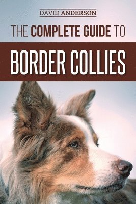 bokomslag The Complete Guide to Border Collies