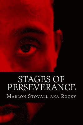 bokomslag Stages Of Preseverance