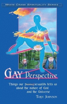 bokomslag Gay Perspective