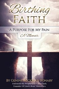 bokomslag Birthing Faith: A Purpose For My Pain
