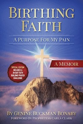 bokomslag Birthing Faith: A Purpose For My Pain: Special Edition Includes A 30-Day Faith Building Prayer Challenge