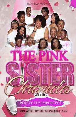 Pink Sister Chronicles
