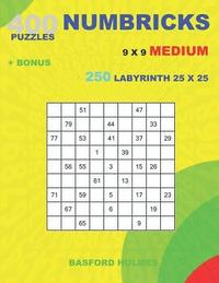 bokomslag 400 NUMBRICKS puzzles 9 x 9 MEDIUM + BONUS 250 LABYRINTH 25 x 25