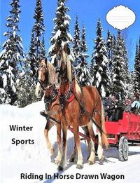 bokomslag Winter Sports Riding In Horse Drawn Wagon