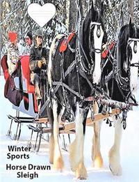 bokomslag Winter Sport Horse Drawn Sleigh