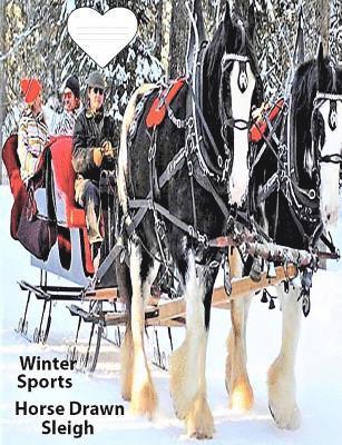 Christina Peterson - Winter Sport Horse Drawn Sleigh, Häftad